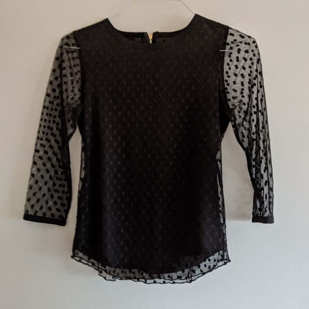 Ann Taylor Mesh Long Sleeve Blouse